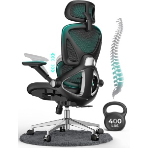 CAPOT High Back Desk Chair with Adjustable Lumbar & 3-Level Tilt Backrest