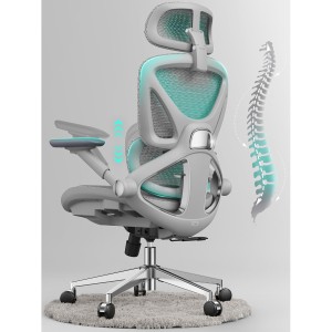 CAPOT Computer Desk Chairs with Lumbar Support & 3D Adjustable Armrests